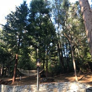 Meet your Posher, Marie